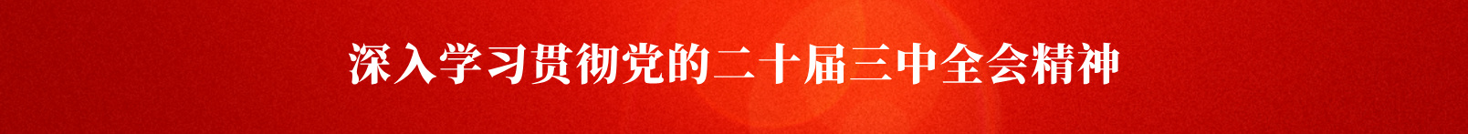 黨的二十屆三中全會(huì)學(xué)習(xí)專(zhuān)欄